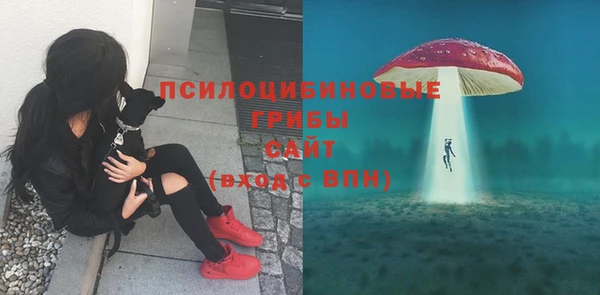 mdpv Лихославль