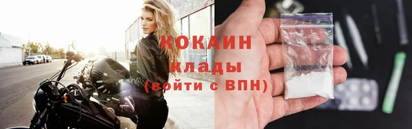 сатива Абаза