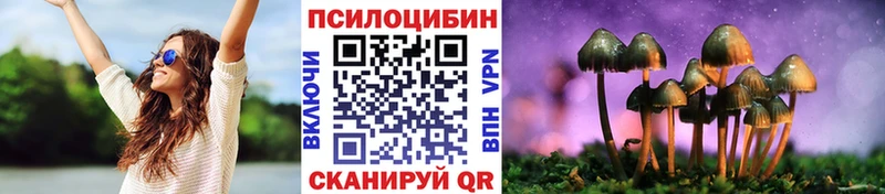 Псилоцибиновые грибы Psilocybe  как найти наркотики  mega   Тутаев 